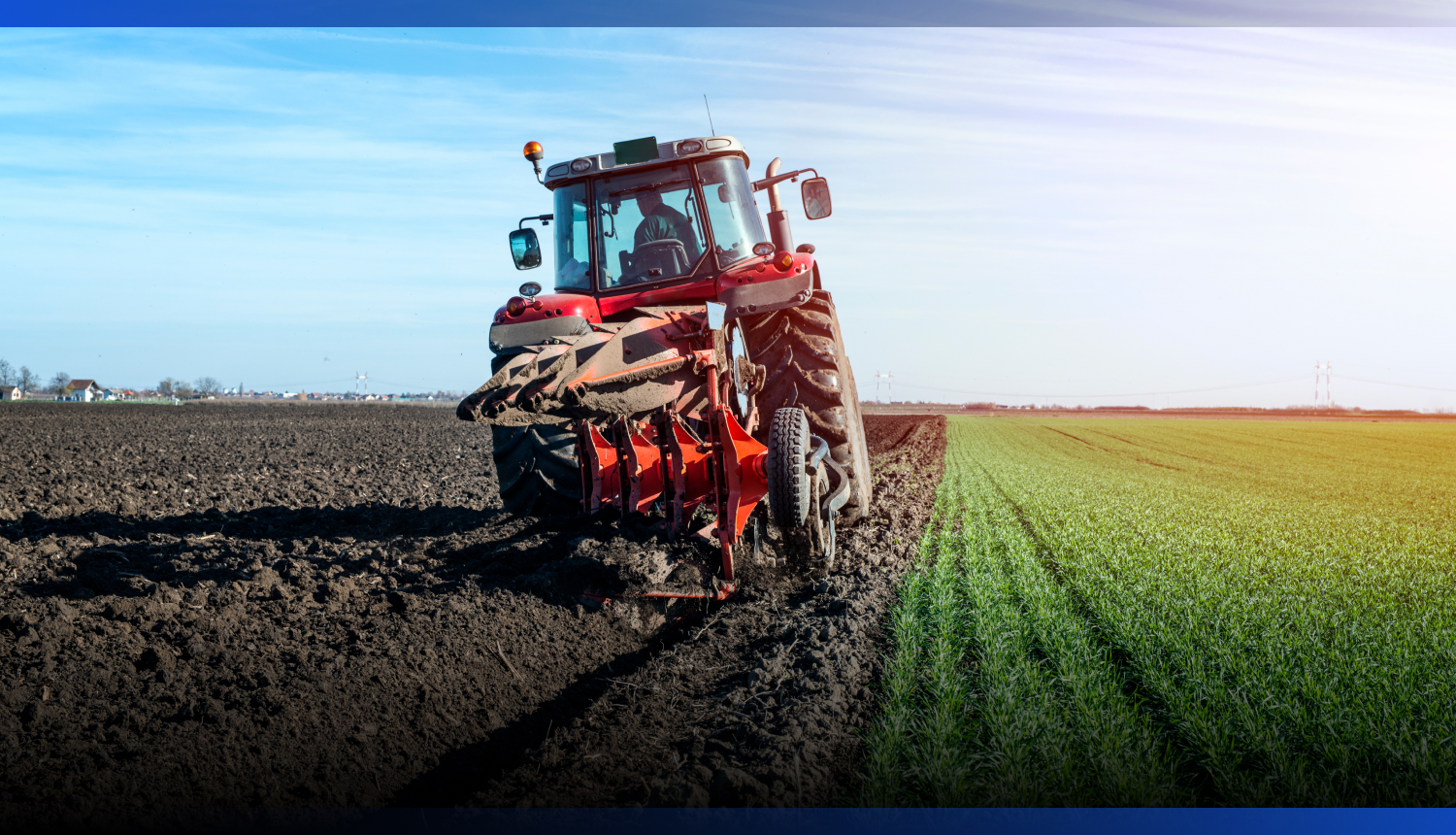 Image for 767 тысяч гектаров засеют в области Абай